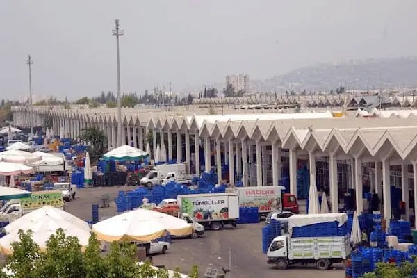 Antalya Büyükşehir Belediyesi Toptancı Hal Kompleksi - Resim 14