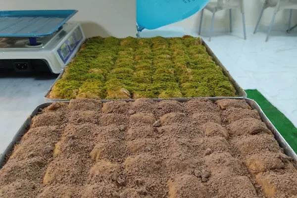 Ataoğlu Baklavaları Ceylanpınar - Resim 9