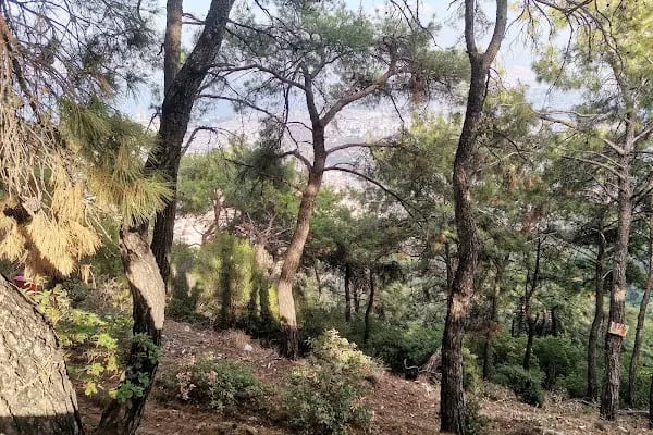 Teleferik izmir - Resim 17