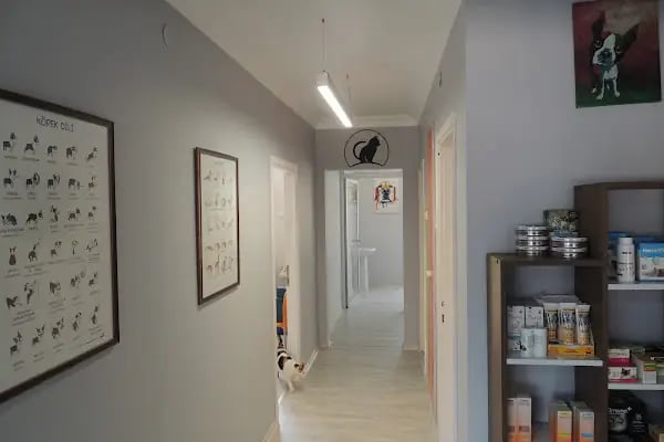 Pet-inn Veteriner Kliniği - Resim 6