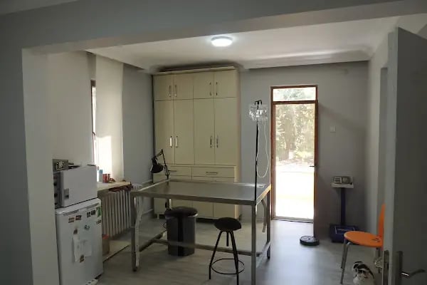 Pet-inn Veteriner Kliniği - Resim 13