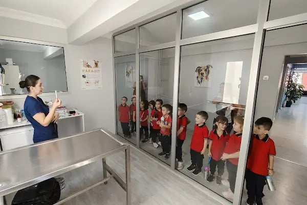 Pet-inn Veteriner Kliniği - Resim 2