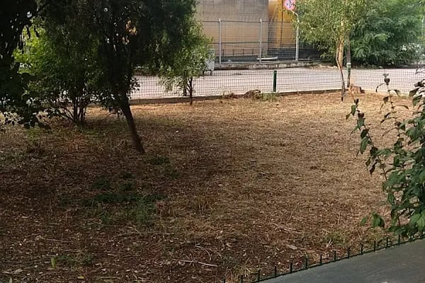 Kapı Kule Gar Gümrük Müdürlüğü - Resim 17