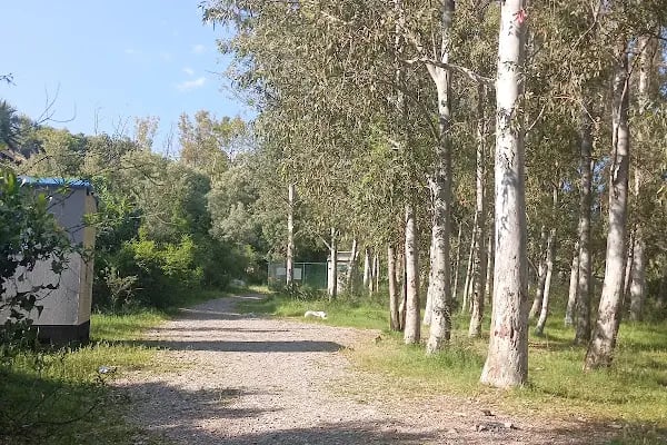 Kırkgöz Gölü - Resim 19