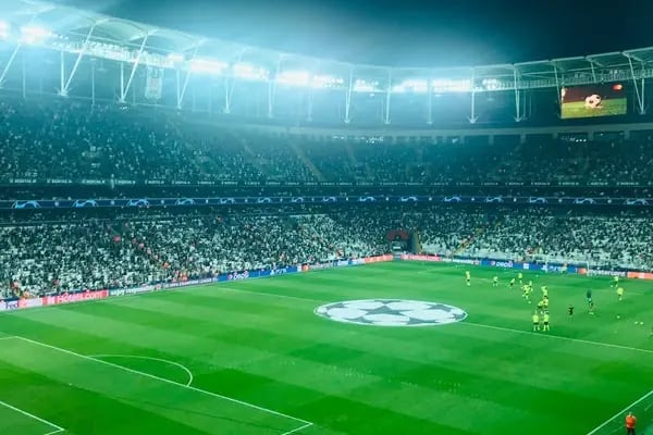 Tüpraş Stadyumu - Resim 3