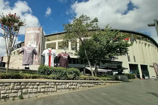 Tüpraş Stadyumu - Resim 9