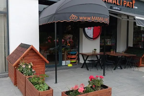 Gözlüklü Petshop - Resim 19