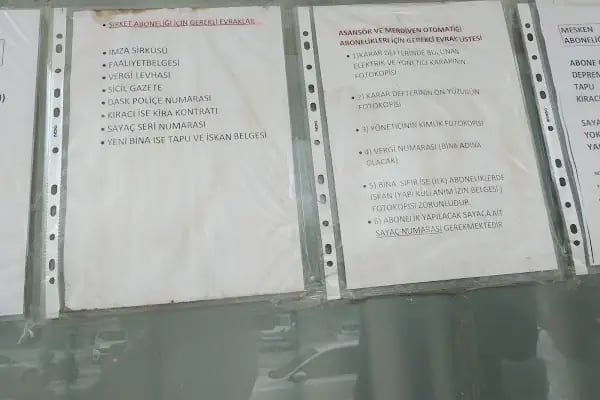 Gökkuşağı Bahçe &amp; Peyzaj Tasarım - Resim 7