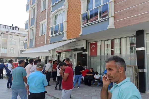 Gökkuşağı Bahçe &amp; Peyzaj Tasarım - Resim 8