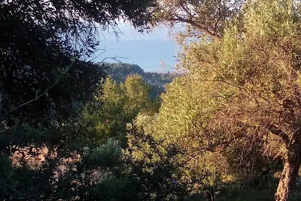 Caria Holiday Resort - Resim 15