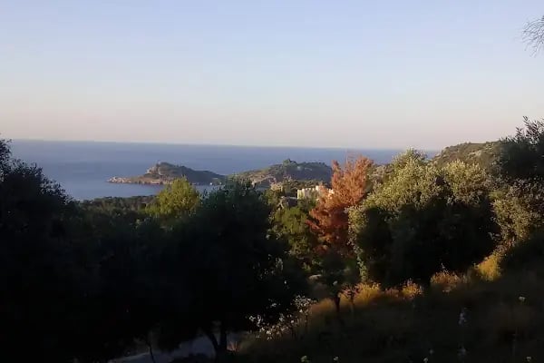 Caria Holiday Resort - Resim 13