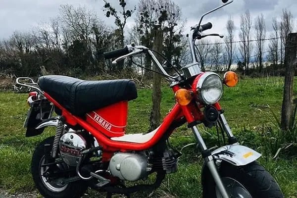 Özükara Motor - Resim 6