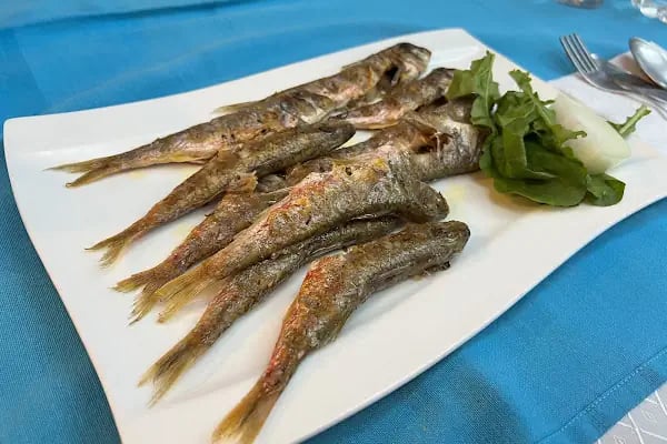 Alya Cafe & Bistro - Resim 6