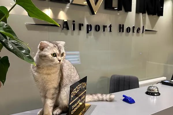 Heaven Inn Airport Hotel - Resim 8