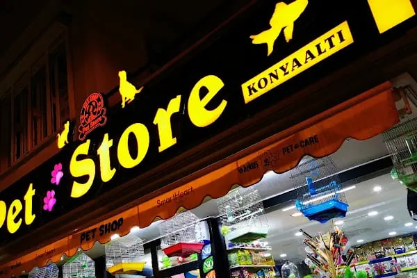 PET STORE KONYAALTI - Resim 2