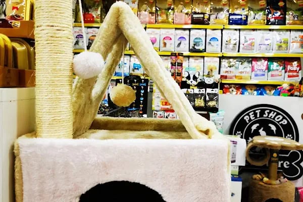 PET STORE KONYAALTI - Resim 20