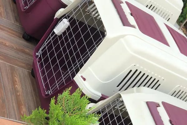 PET STORE KONYAALTI - Resim 15