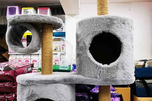 PET STORE KONYAALTI - Resim 4