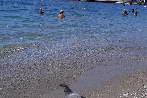 Yula Bodrum - Drink &amp; Chill - Resim 14