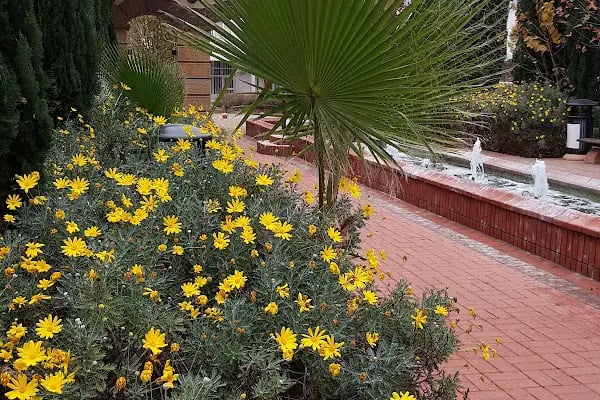 Atatürk Kültür Parkı - Resim 8