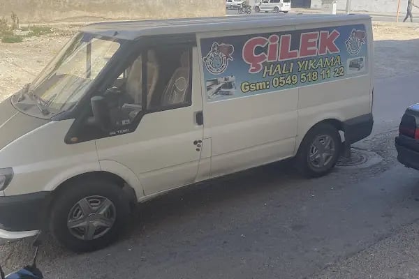 Çilek Hali Yikama - Resim 4