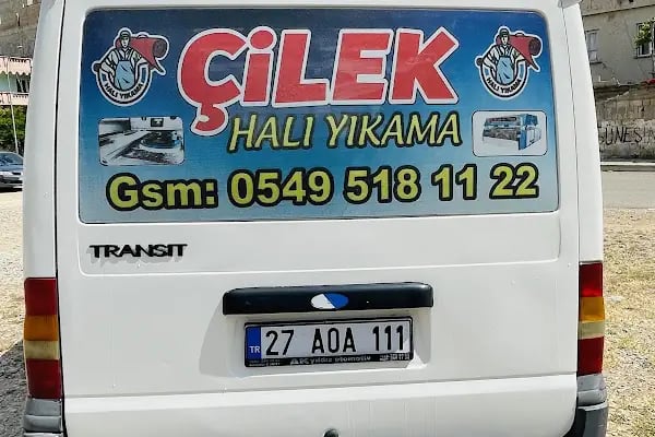 Çilek Hali Yikama - Resim 3