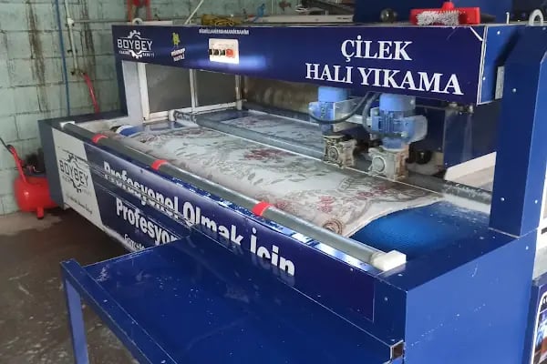Çilek Hali Yikama - Resim 9