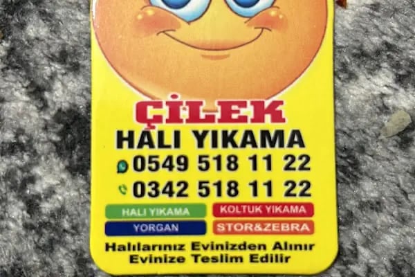 Çilek Hali Yikama - Resim 5