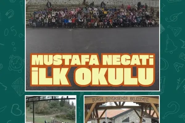 Yolopark Türkiye🌈 Renkli Dev kaydırak - Resim 13