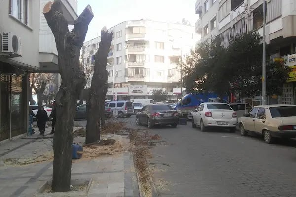 DHL eCommerce - Salihli Şubesi - Resim 2
