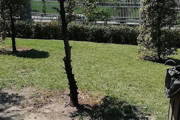 Emin BATMAZOGLU parki Yağmur Cafe - Resim 14