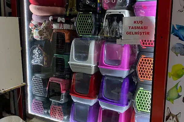 Çambaşı petshop - Resim 9