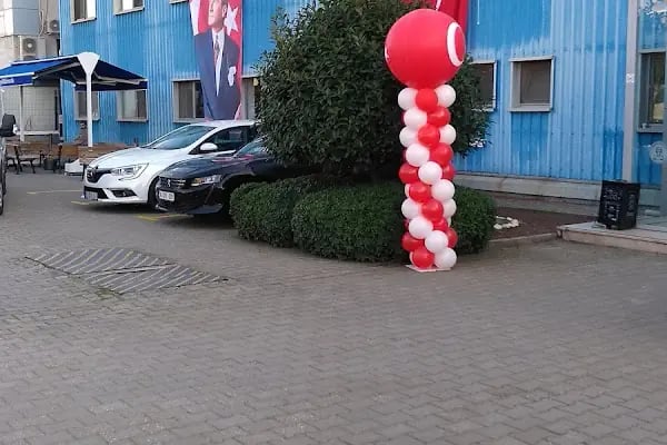 Nobel Automotive - Resim 1