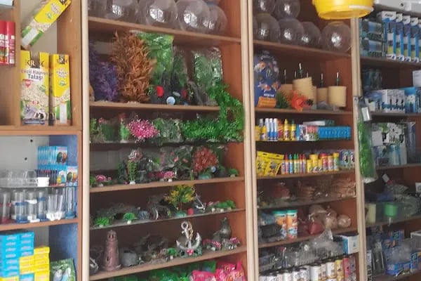 Dünya Akvaryum pet shop - Resim 6