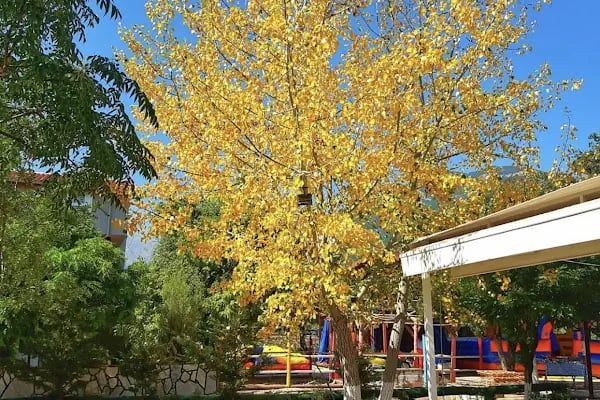 Abacı At Çiftliği - Resim 9