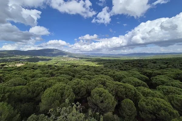 Kozak Seyir Tepe Kahvaltı Evi - Resim 20