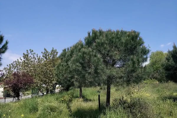 SGK Süreyyapaşa Sağlık Sosyal Güvenlik Merkezi - Resim 6