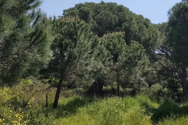 SGK Süreyyapaşa Sağlık Sosyal Güvenlik Merkezi - Resim 1