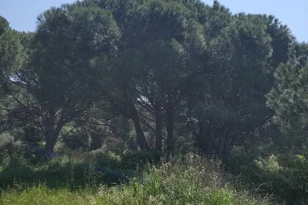SGK Süreyyapaşa Sağlık Sosyal Güvenlik Merkezi - Resim 7