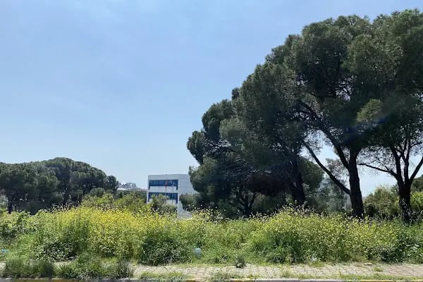 SGK Süreyyapaşa Sağlık Sosyal Güvenlik Merkezi - Resim 3