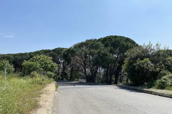 SGK Süreyyapaşa Sağlık Sosyal Güvenlik Merkezi - Resim 9