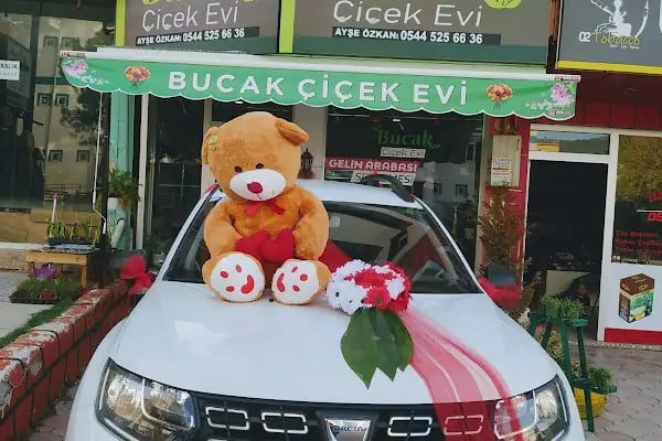 Bucak Çiçek Evi - Resim 2