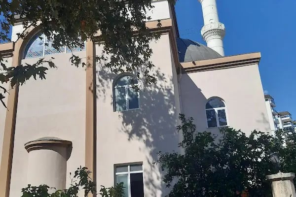 Aliş Cami - Resim 15
