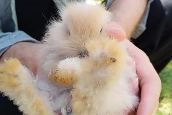 Selçuklu Bisiklet ve Kaykay Parkı 2 - Resim 19