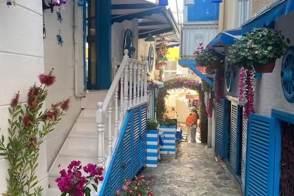 BÜYÜKADA MAVİ PALAS HOTEL - Resim 15