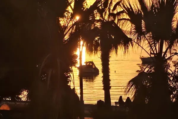 Bodrum Diş Hekimi Ferhat Koç - Resim 10