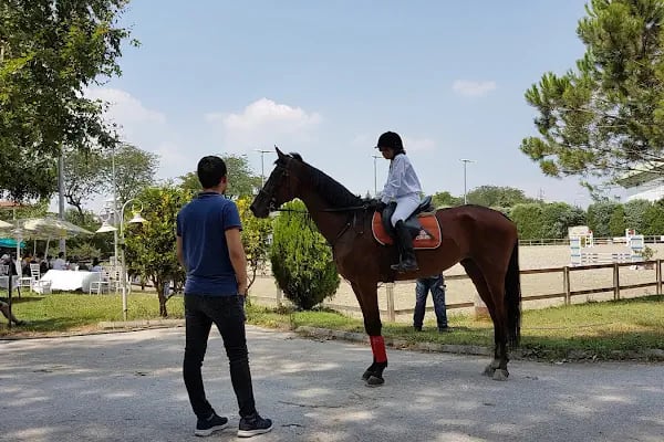 Bursa Atlı Spor Kulübü - Resim 5