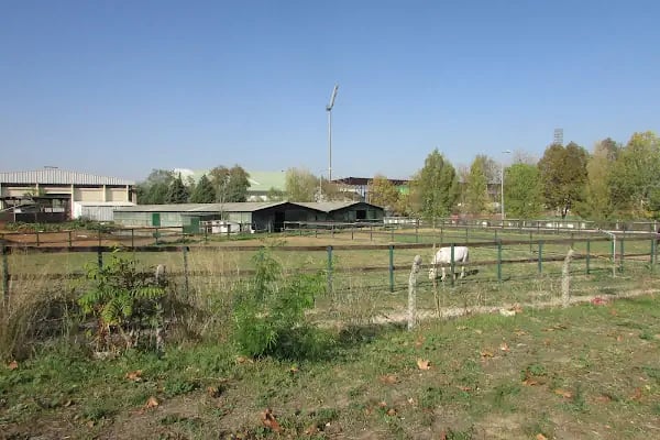 Bursa Atlı Spor Kulübü - Resim 17