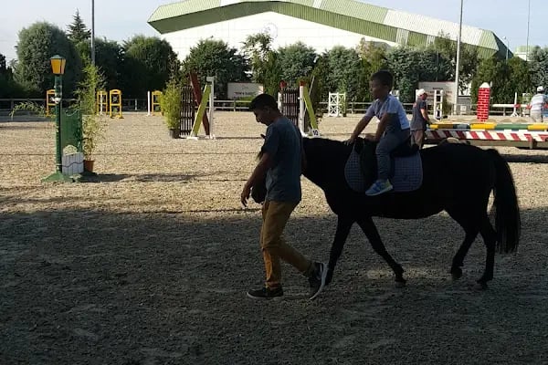 Bursa Atlı Spor Kulübü - Resim 2