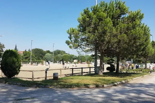 Bursa Atlı Spor Kulübü - Resim 11